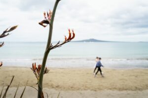 Women,Walk,On,Beach,After,Treatment,Day,For,Varicose,Veins,Large,Flax,Flowers,In,Foreground..